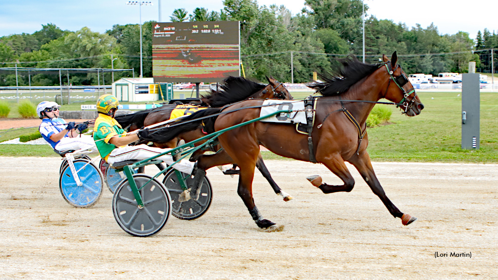 Great Trickster - 2025 Balanced Image Champion photo by Lori Martin